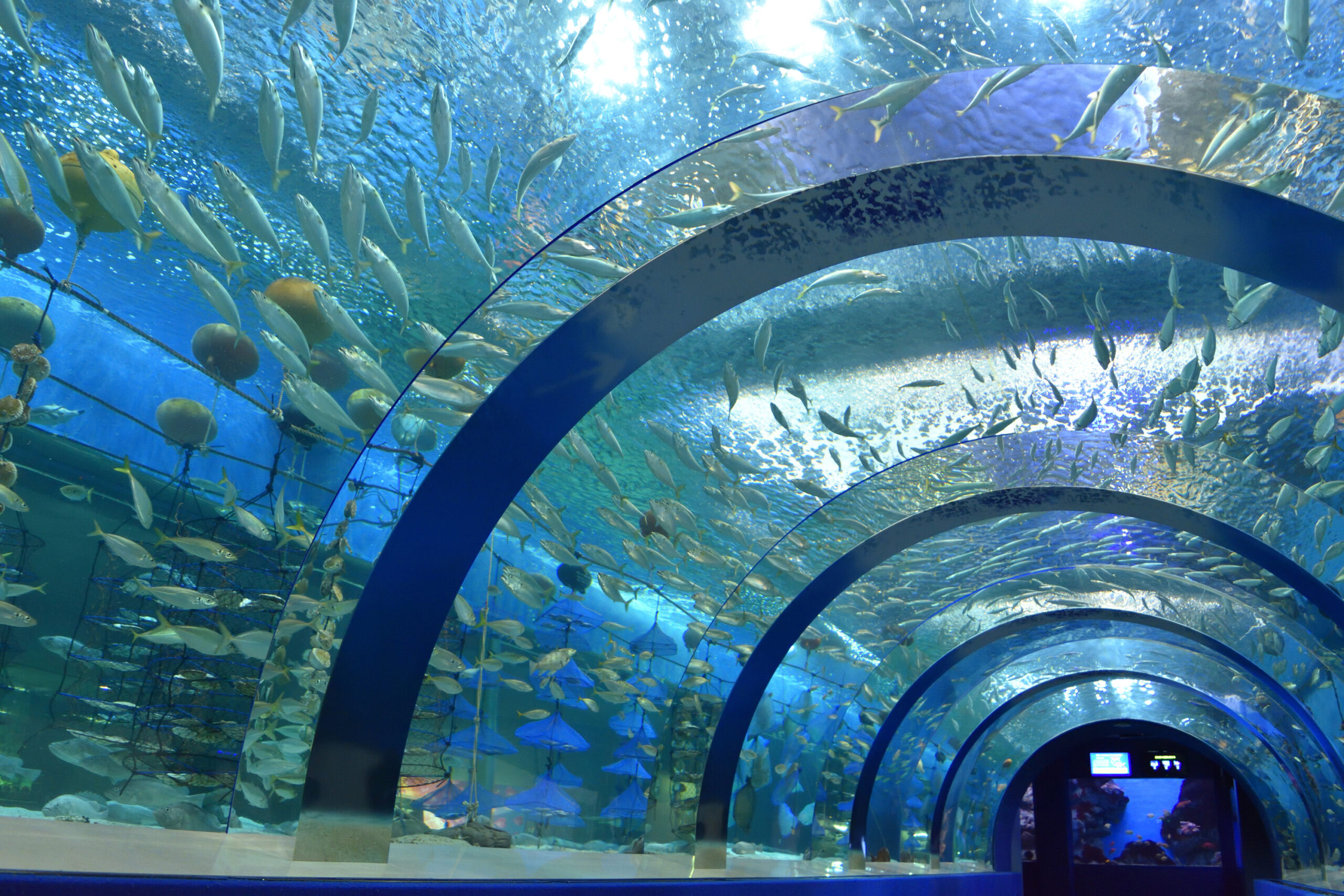 浅虫水族館